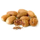 Nuez Moscada Myristica