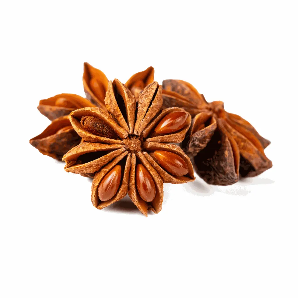Star Anise 3.webp