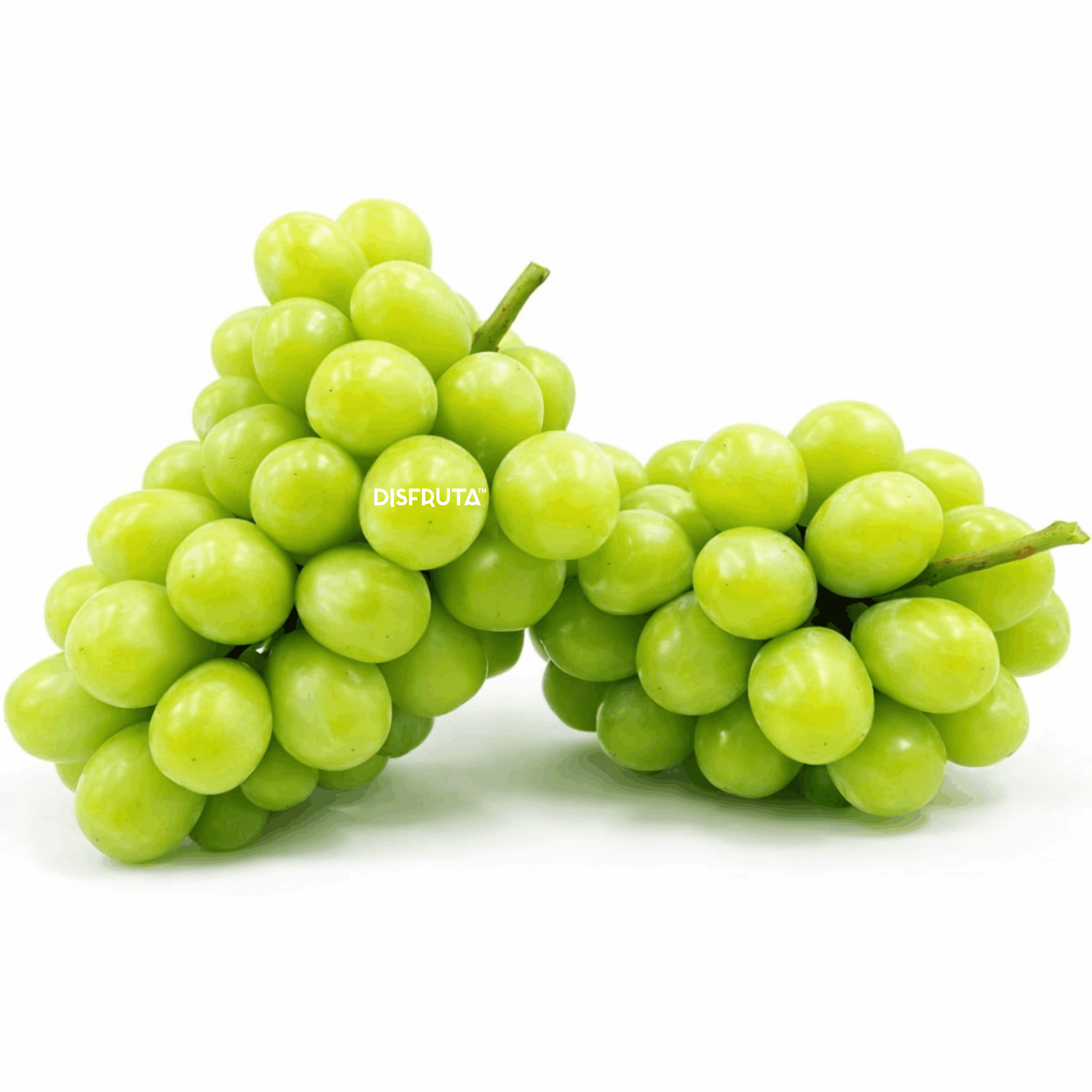 Muscat Green Grape ISO Disfruta™ 1.gif