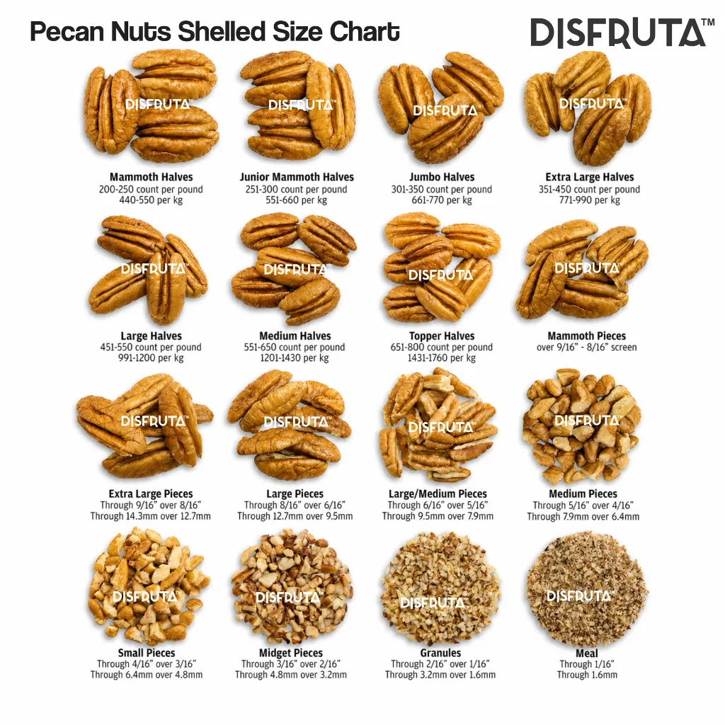 Pecan Nuts Clasification Disfruta™.webp
