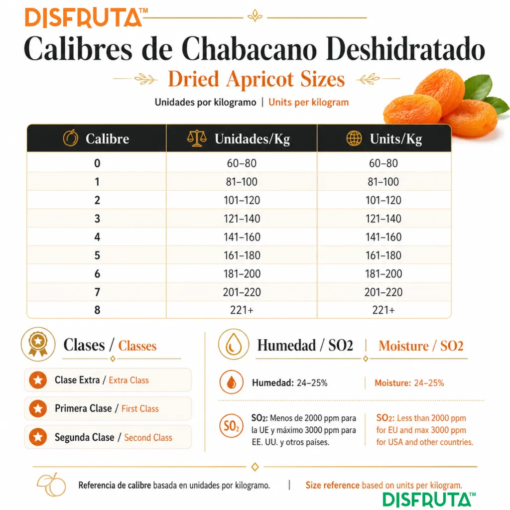 Apricot Size Chart Disfruta™.webp