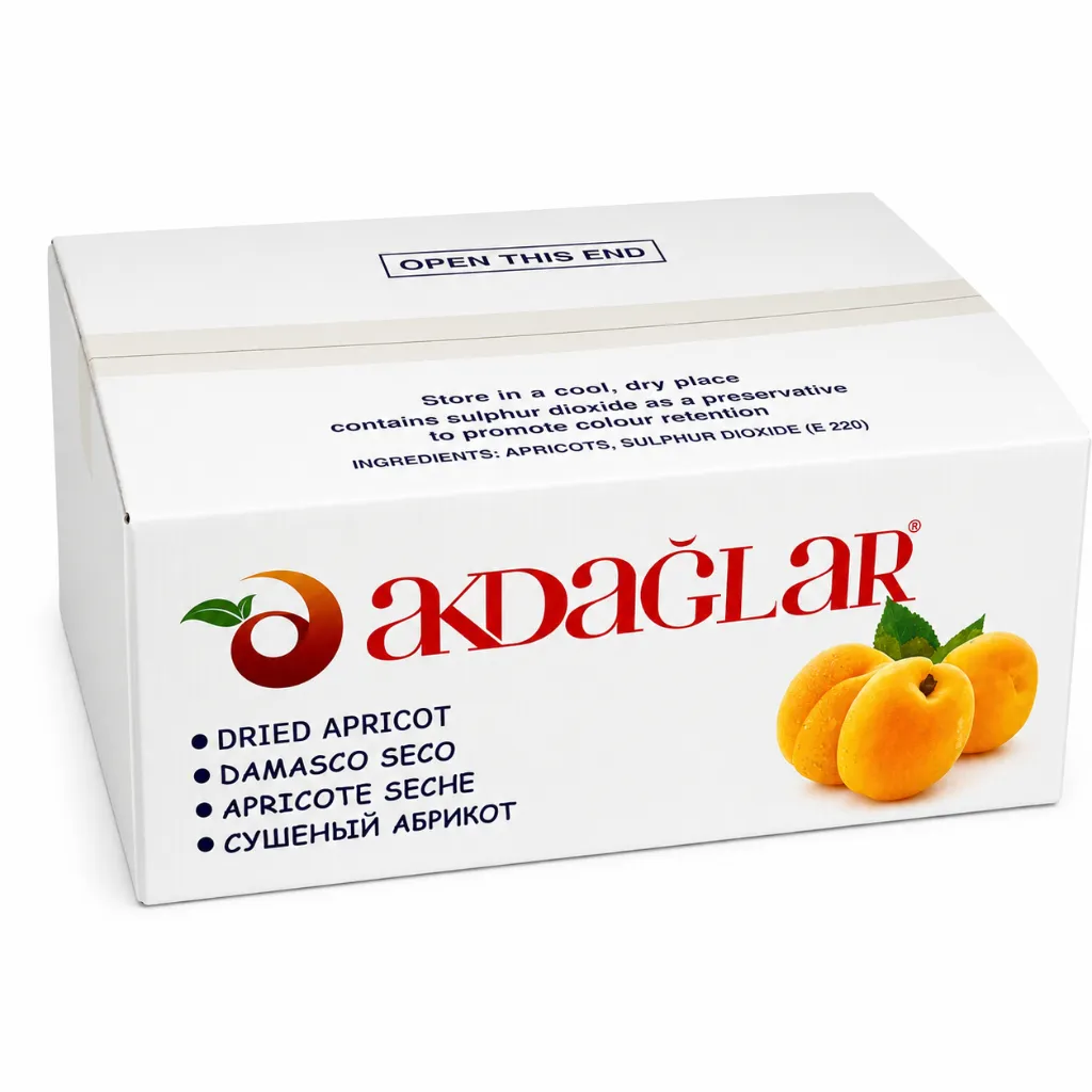 ChatGPT Image 6 jun 2026, 11_04_33.webp