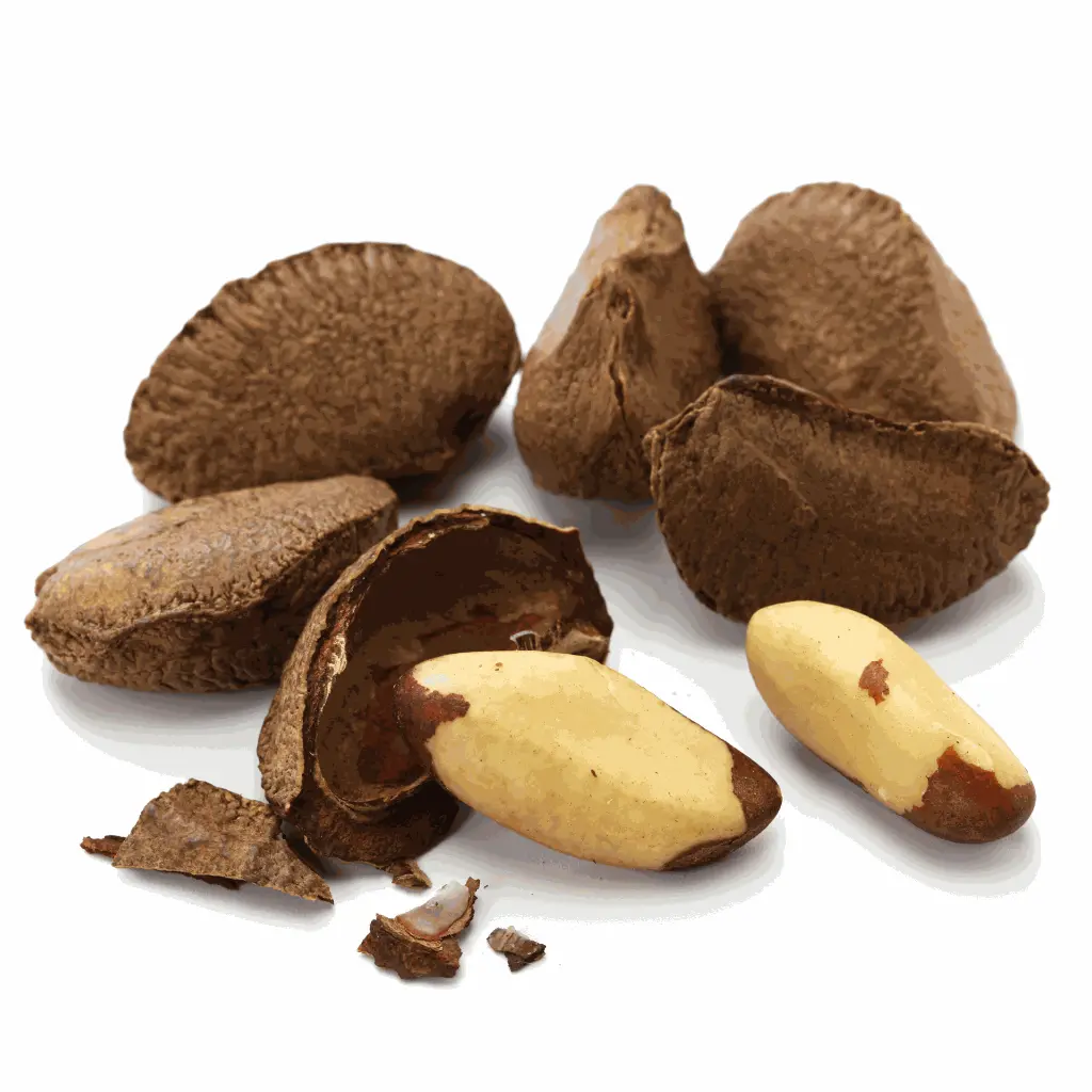 Amazon Nuts 4.webp