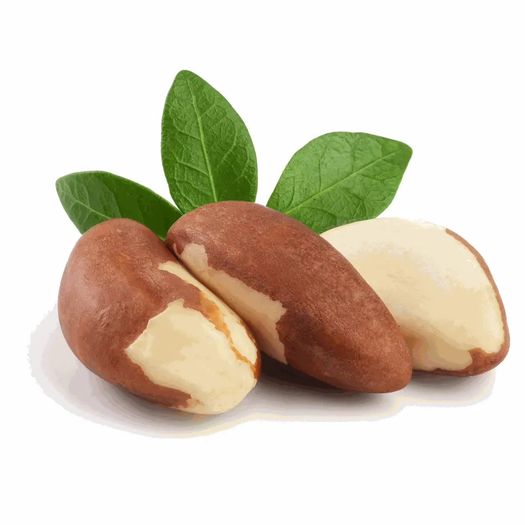 Amazon Nuts 1.webp