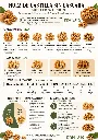 Wallnuts Size Chart.webp