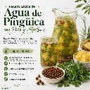 Pingüica Agua Piña Alfalfa.webp