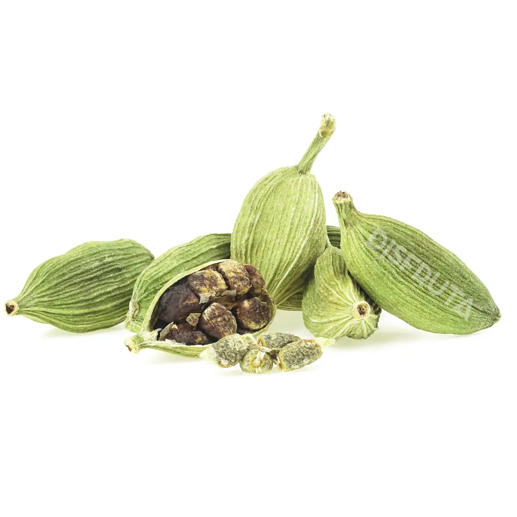Vaina Cardamo 3.webp
