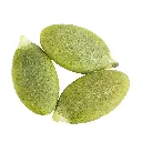Semilla de Calabaza Pumkin Kernel ISO 1.webp