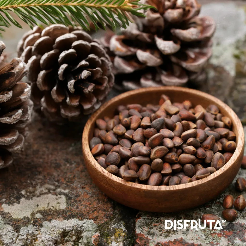 Pink Pinenut Piñón Rosado Disfruta™ Gourmet  3.webp