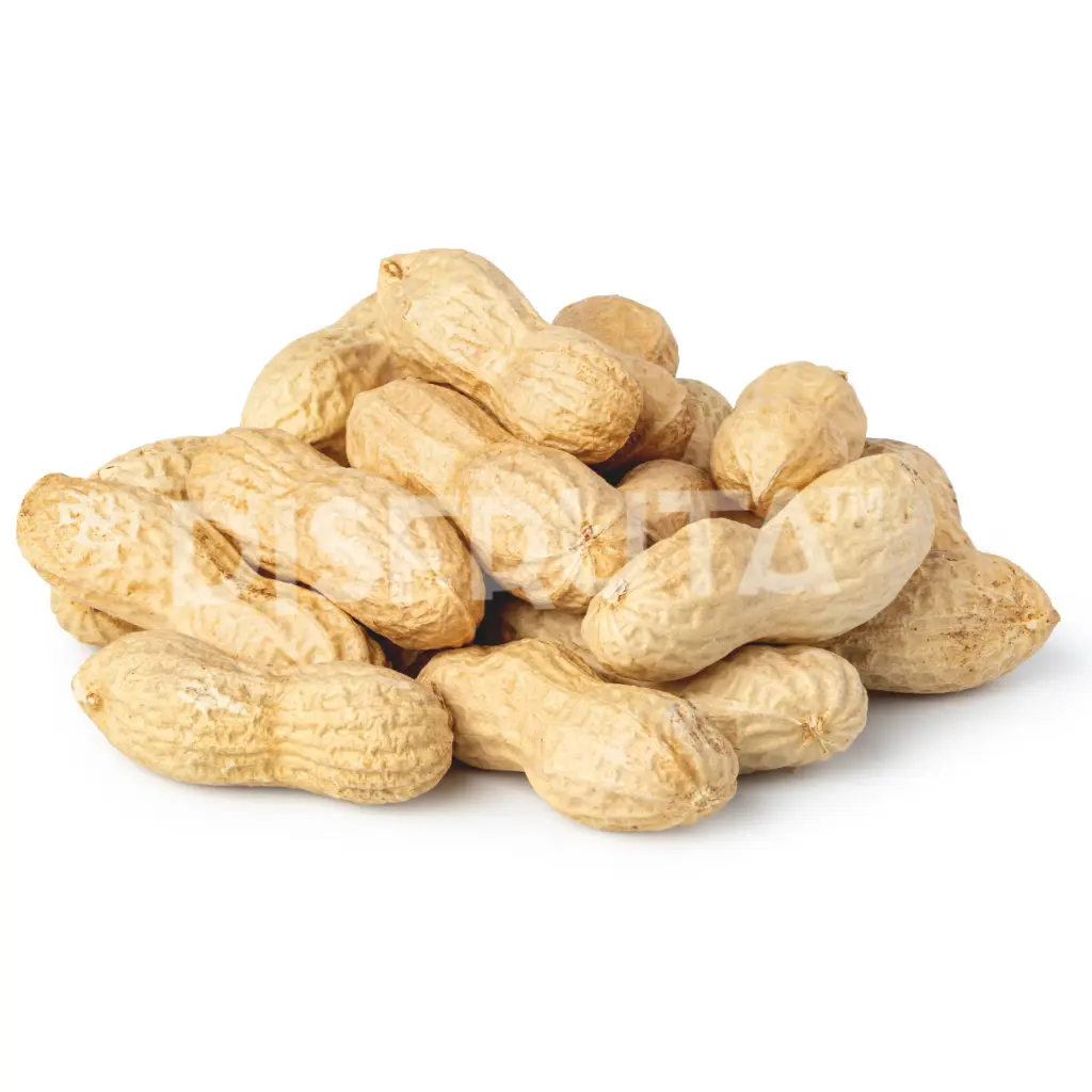Cacahuate Entero Horneado | Con Pericarpio | Tarayta®|  China | GRL                                                                               