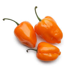 Chile Habanero | #G | Ámbar |  Yucatán                                                                              