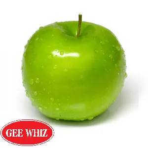 Manzana Granny Smith | Gee Whiz® | C #100's | Washington | GRL
