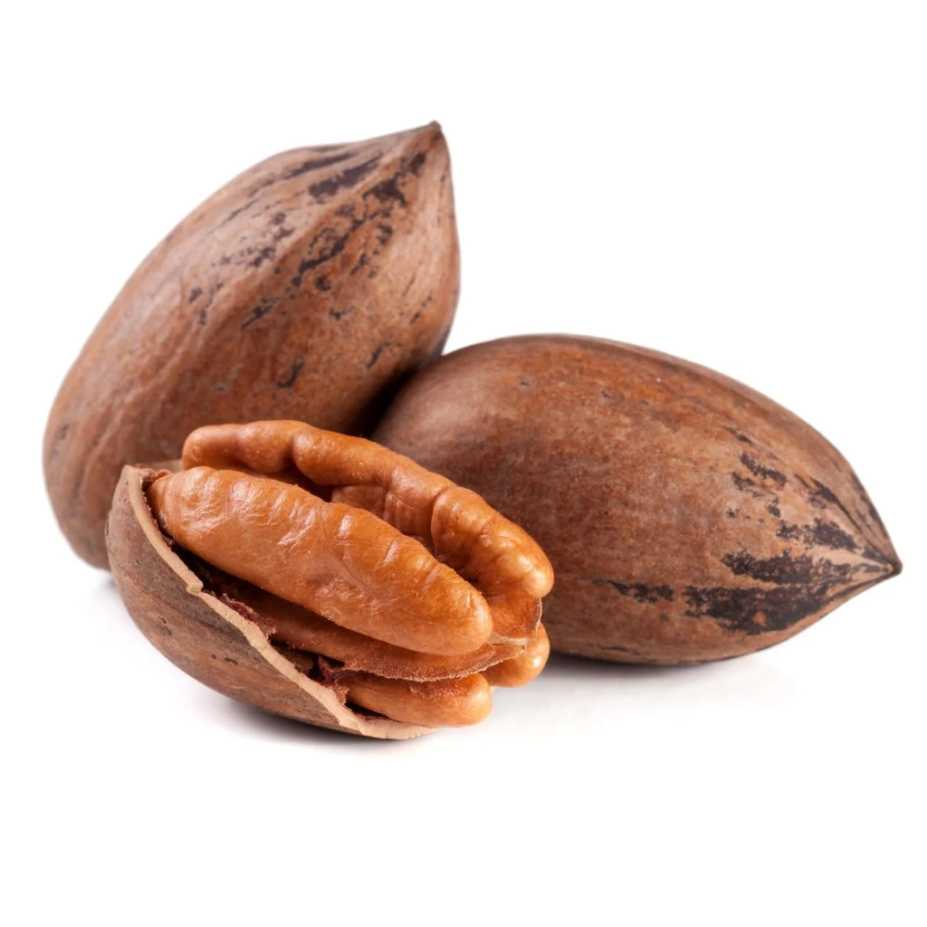 Witcha Pecan Nut  | In Shell | Chihuahua | BLK                                                          