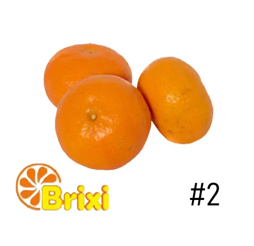 Mandarina Satsuma | #2X | Brixi® | Perú | GRL