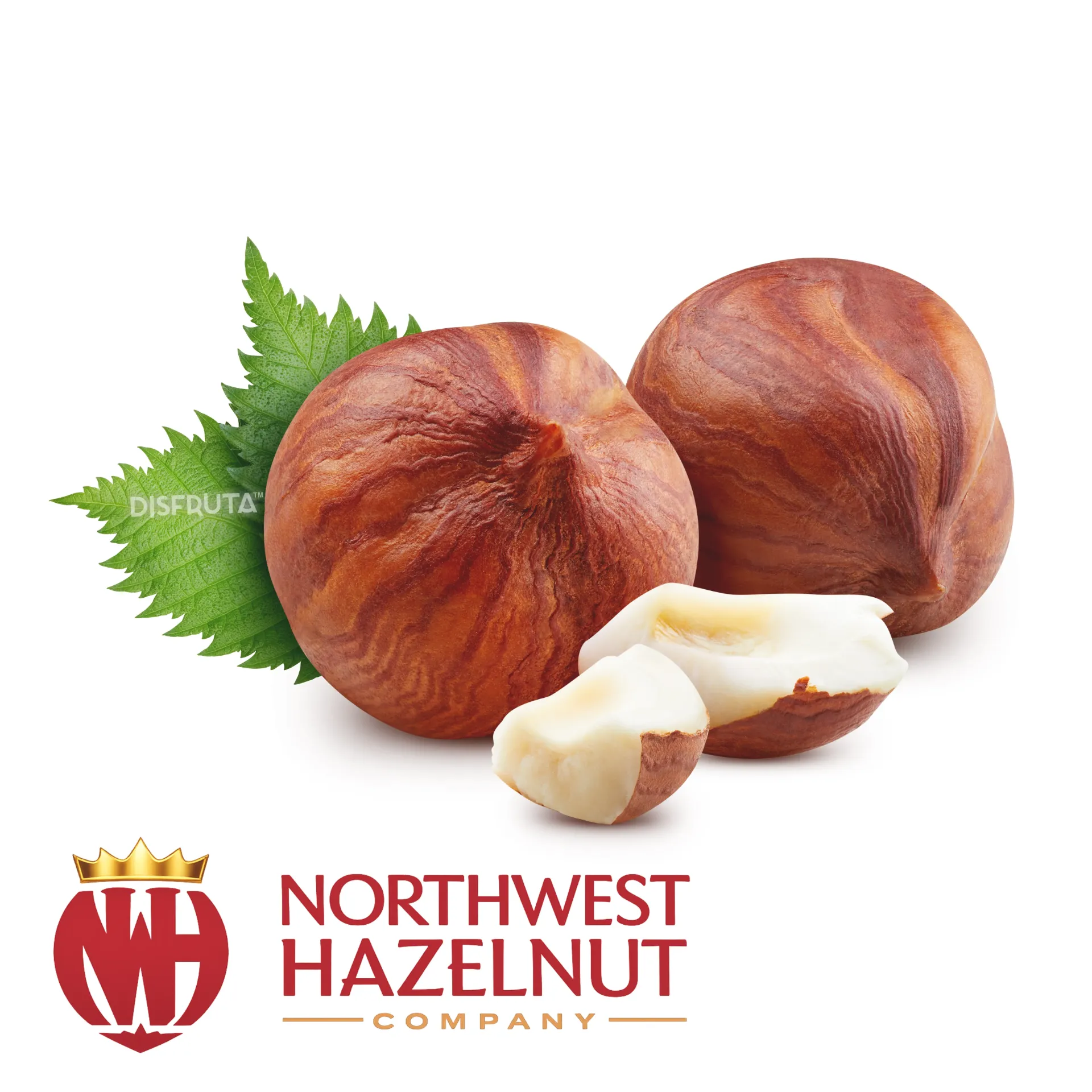 Oregon Hazelnut | Cal.12-14MM Grade# 1-NMD | Norhwest Hazelnut® | E.U.A. | BLK