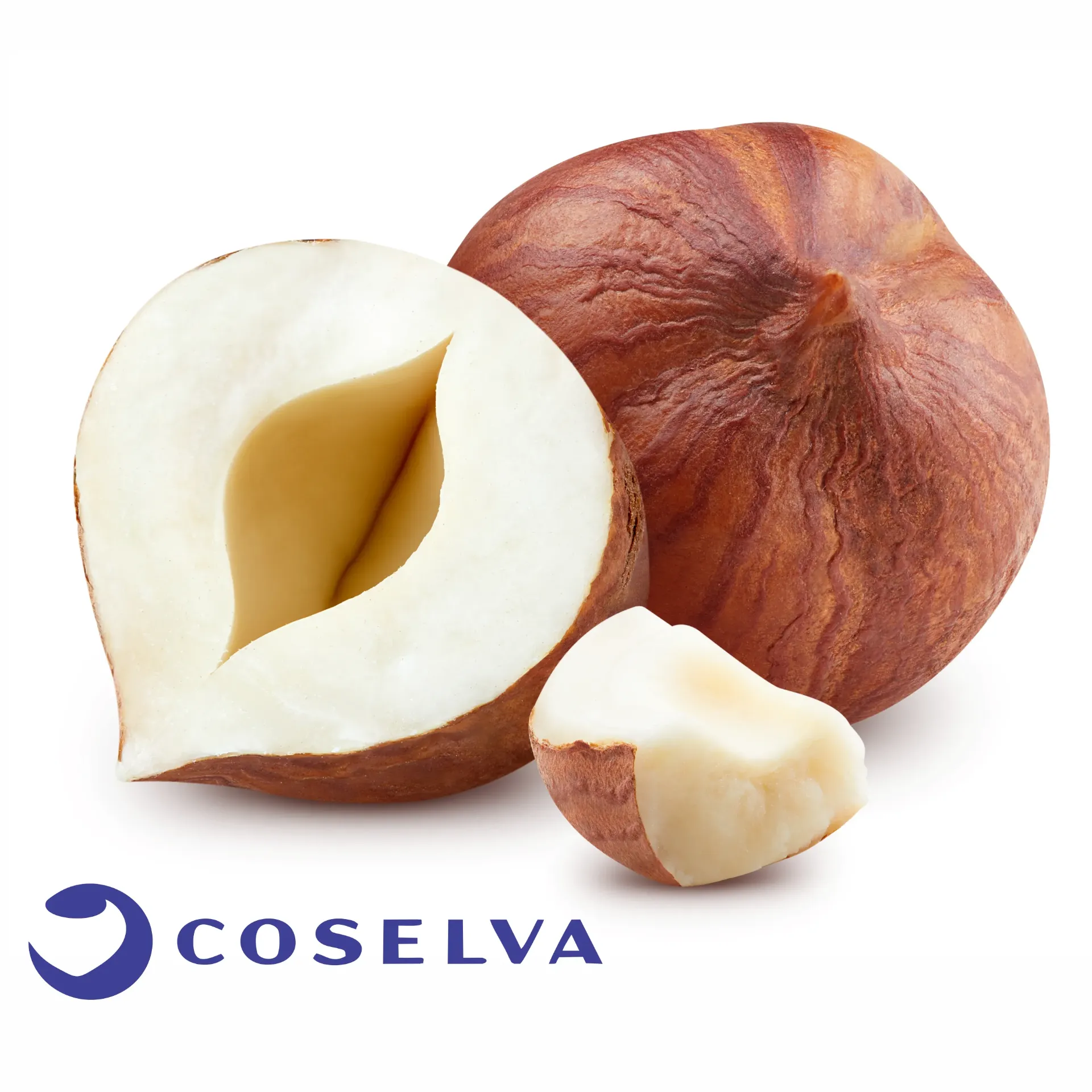 Catalonia Hazelnut | Shelled WO/S # 11-13  CAT 1 DOP  | Coselva ® | Spain | BLK