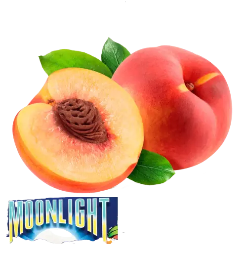 Durazno Melocotón Yellow Flesh | #42 | Moonlight®| California | GRL