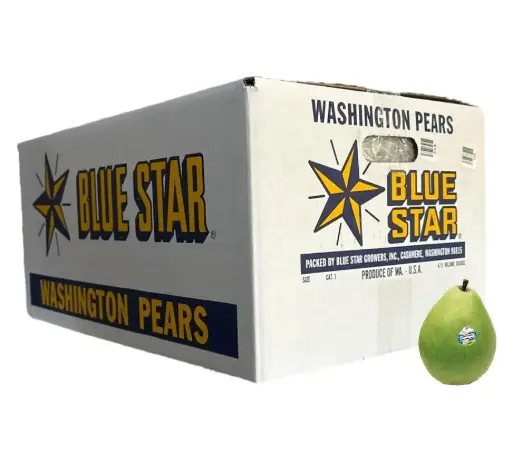 Pera D'Anjou Verde | #80's | Blue Star® | Washington | C-CTN ±21KG  